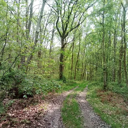 Habitación en casa particular Maison Auger *