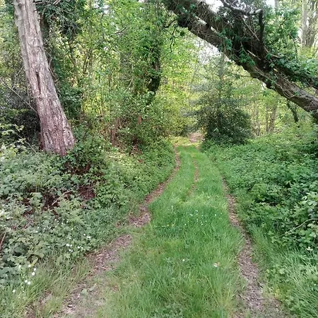 Habitación en casa particular Maison Auger *