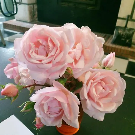 Maison Auger Gruchet-le-Valasse